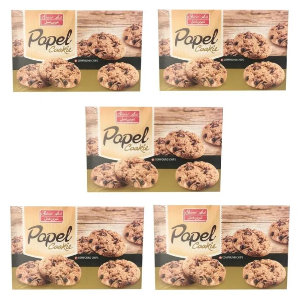 کوکی نارگیلی با تکه های کاکائو پاپل شیرین عسل - 240 گرم بسته 5 عددی